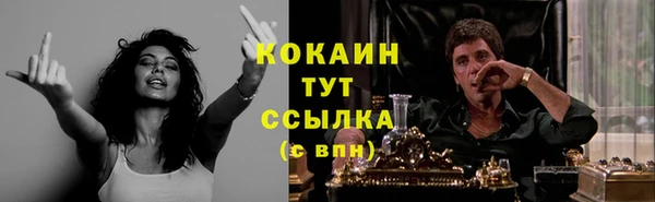 мет Богданович