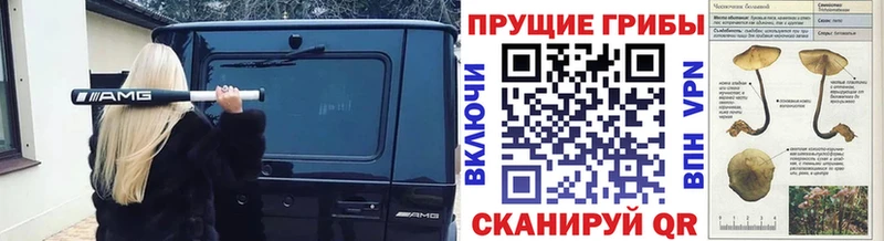 Галлюциногенные грибы Magic Shrooms Севастополь